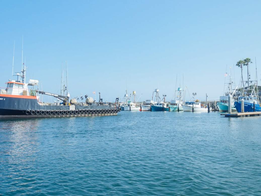 ships in a port with blue water and sky