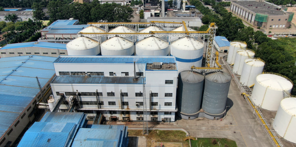 renewable energy storage plant