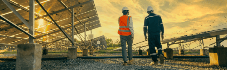 two field technicians looking around at a solar farm