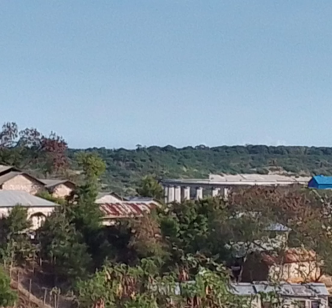  houses nestled within the forest in Kenya.