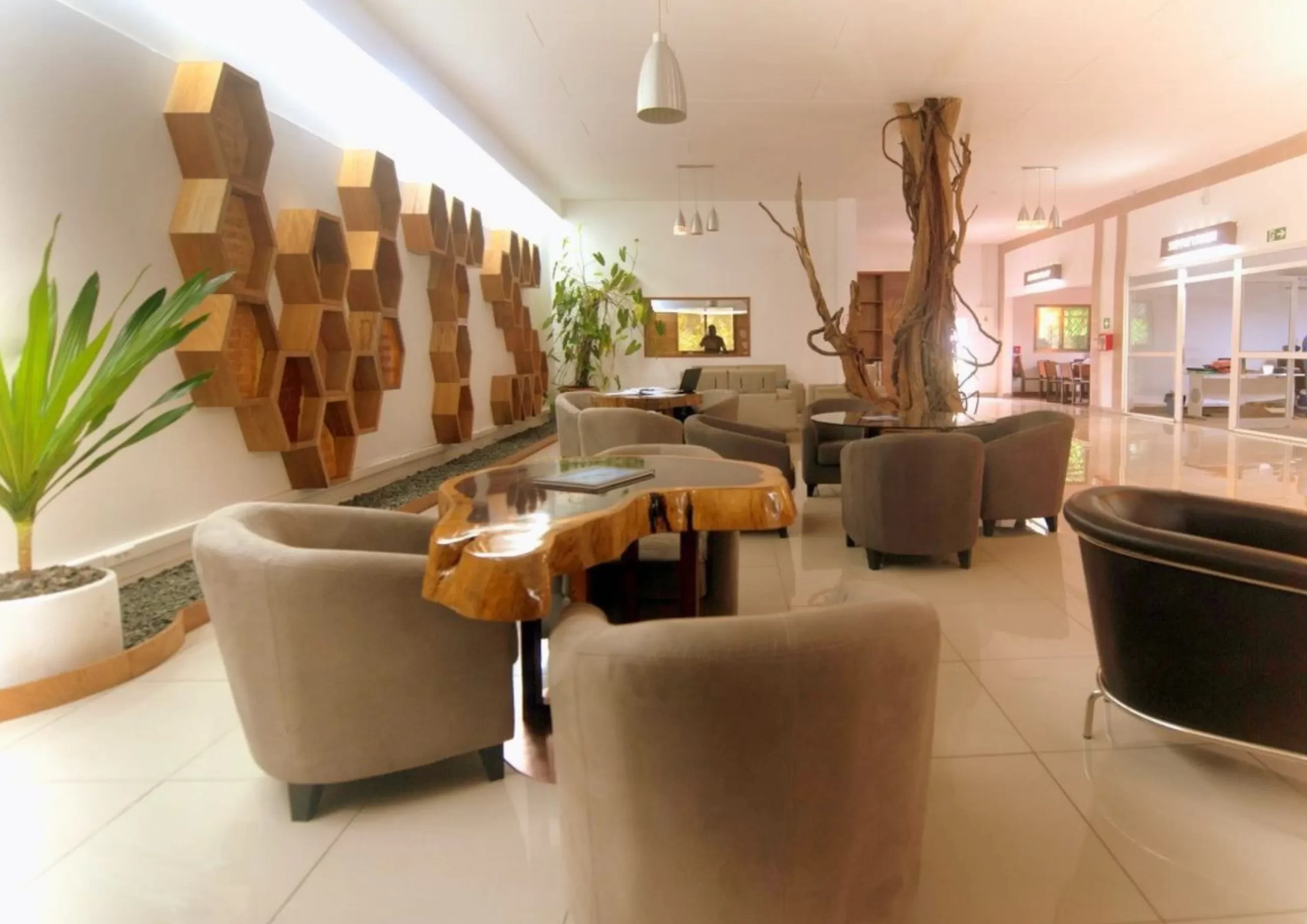 WTS Office in Gabon