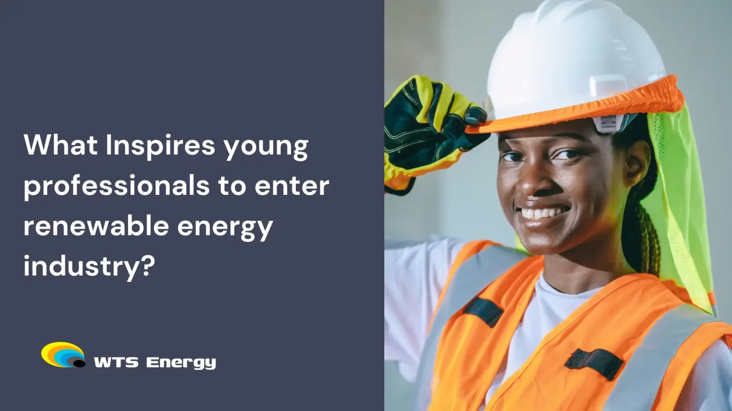What Inspires young professionals to enter renewable energy industry?